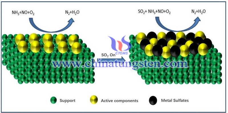 The latest research progress of NH3-SCR in the SO2 image